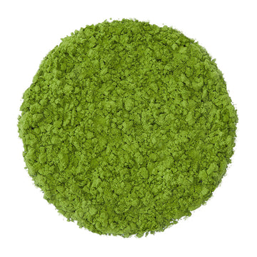 Premium Culinary Matcha 0.5 LB